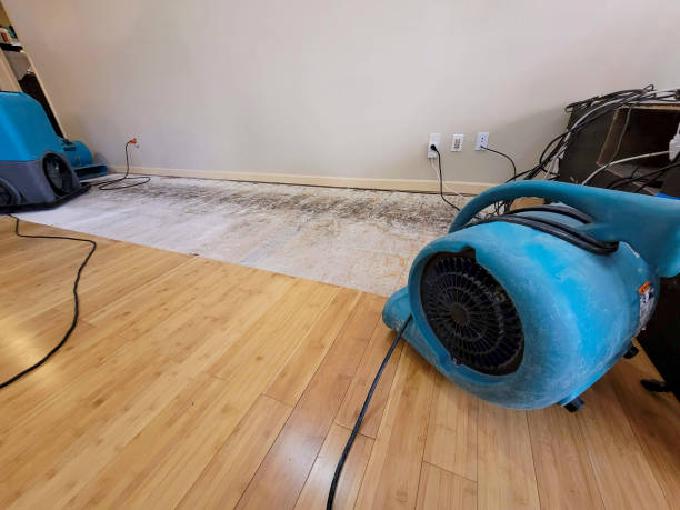 Professional Basement Flood Cleanup technician working in Stoneham, ME