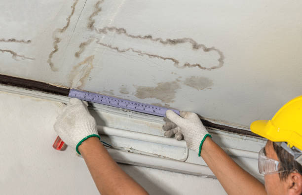 Affordable Basement Flood Cleanup solutions in Stoneham, ME